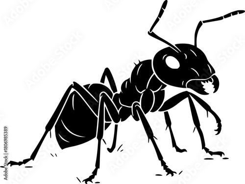 ant