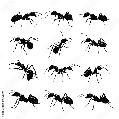 set of ants