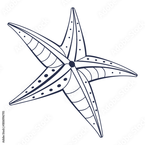 Hand Drawn Starfish Illustration on White Background Keywords: starfish, sea star, marine life