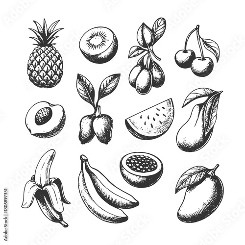 Hand-drawn black and white sketchy vector set of various tropical and fresh fruits, including pineapple, mango, and banana, perfect for healthy food menus, juice labels, and summer design.