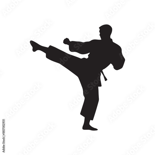 Silhouette of a karate fighter performing a high kick in a dynamic pose