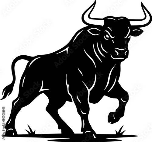 black and white bull