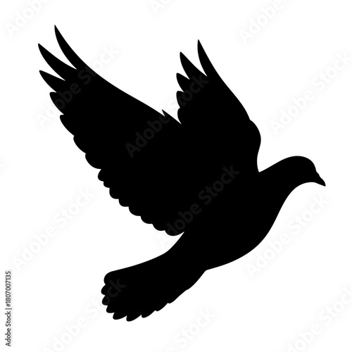 silhoueet of dove black