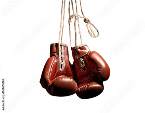 Vintage Hanging Boxing Gloves on Brick Wall