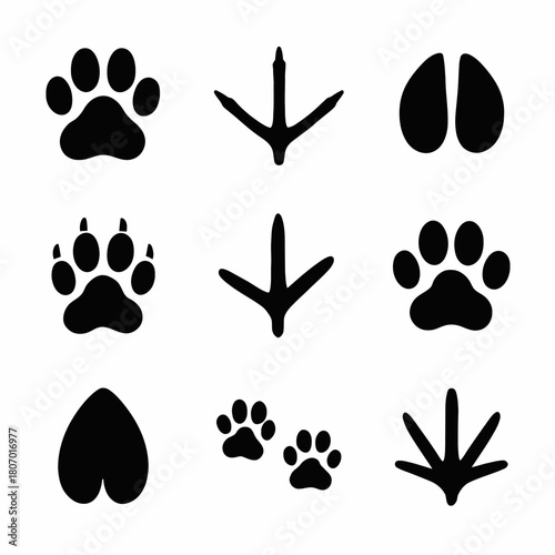 Set of animal tracks: paw, bird, hoof, and claw prints collection