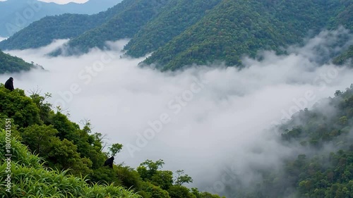 Mountain landscape with fog and monkeys