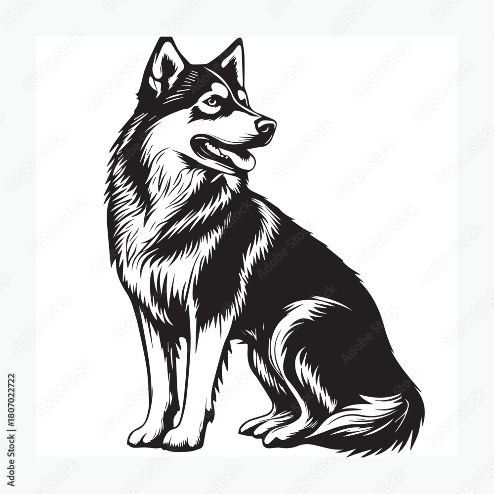 Fototapeta premium wolf vector illustration
