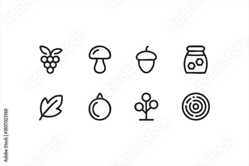 Fall forage outline symbols with mushrooms, acorns, grapes and nature motifs for web design