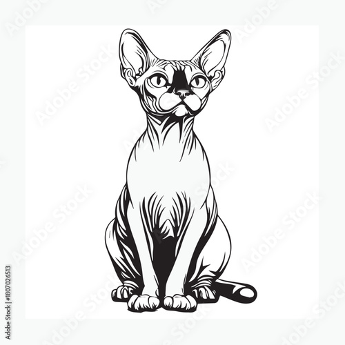sphynx cat cartoon