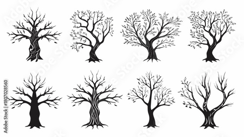 Elegant silhouettes of bare trees, perfect for nature-inspired designs and artistic projects, evoke a sense of winter, serenity, and natural beauty
