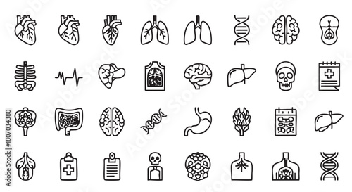 Medical icons collection of human internal organs in outline style
