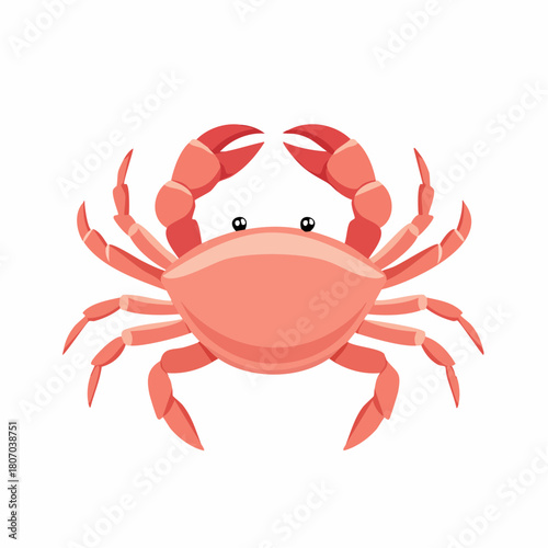 Cute cartoon red crab with big claws, a marine crustacean animal illustration isolated on a white background.