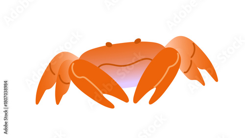 Icon of cute sea crab. Funny ocean fish with claws. Adorable undersea and beach animal. Tropical water fauna. Exotic underwater wildlife. Flat isolated vector illustration on white background.