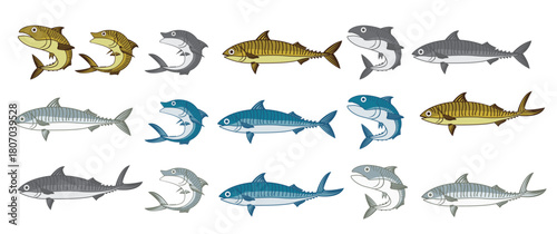 mackerel vector cartoon illustration .