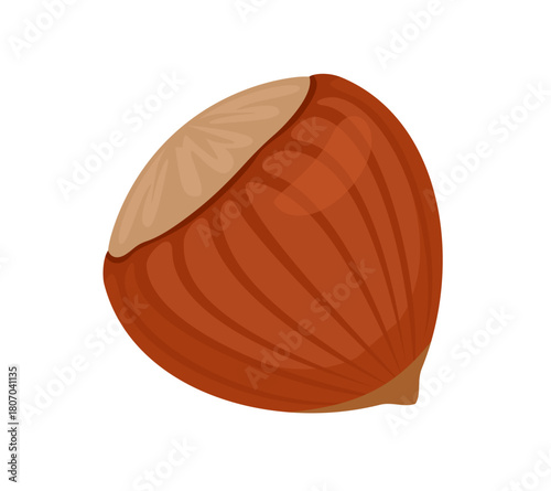 Hazelnut isolated on white background. Vector cartoon flat illustration. Nut icon