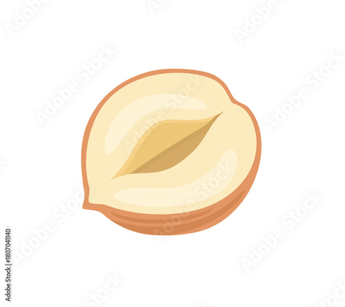 Peeled cut hazelnut isolated on white background. Vector cartoon flat illustration. Nut icon