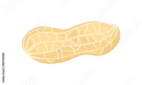 Unpeeled peanut isolated on white background. Vector cartoon flat illustration. Food icon