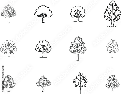 Diverse tree sketches forming a botanical compilation for design applications