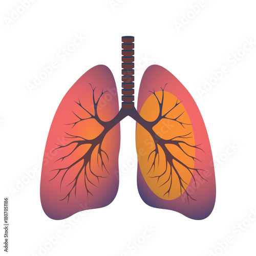 Human Lungs Respiratory System Anatomy Illustration on Black
