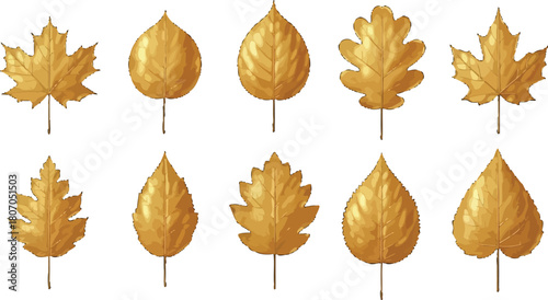 Golden autumn leaves isolated on white background, nature-inspired textures