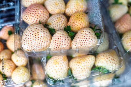 Fresh White Strawberries (Pineberries) in Plastic Packaging
