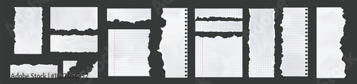 Notebook pages and paper sheets with torn edges