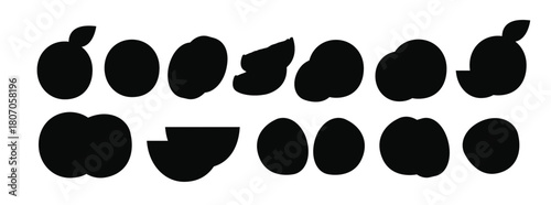 Set of orange vector illustration