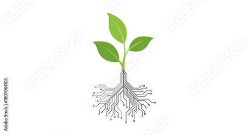 A conceptual illustration showing a plant with roots designed as circuit boards.