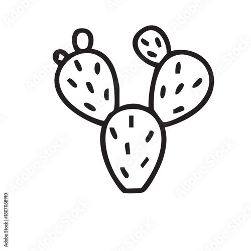 ICONES NORDESTINOS, NORDESTINO, NORDESTE, CEARÁ, ICONES DO NORDESTE, MANDACARU, CACTO, CACTOS, PLANTAS DA CAATINGA, PLANTAS NORDESTINAS