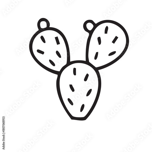 ICONES NORDESTINOS, NORDESTINO, NORDESTE, CEARÁ, ICONES DO NORDESTE, MANDACARU, CACTO, CACTOS, PLANTAS DA CAATINGA, PLANTAS NORDESTINAS