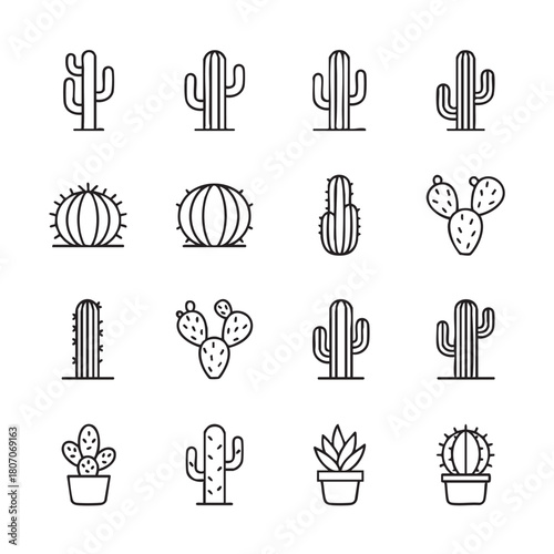 ICONES NORDESTINOS, NORDESTINO, NORDESTE, CEARÁ, ICONES DO NORDESTE, MANDACARU, CACTO, CACTOS, PLANTAS DA CAATINGA, PLANTAS NORDESTINAS