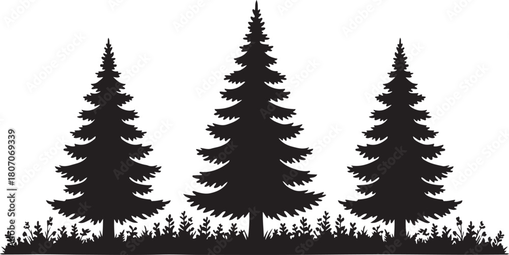 Obraz premium Three Tall Pine Tree Silhouettes with Detailed Grass Base trees nature