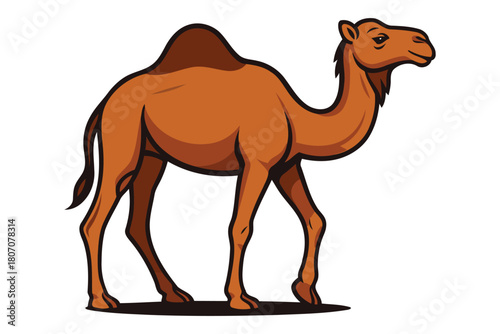 A cartoon illustration of a dromedary camel with one hump standing on a white background in a side profile view