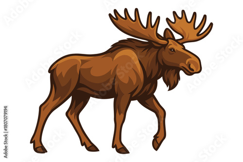 Majestic brown moose with large antlers walking confidently across a white background in a realistic illustration style