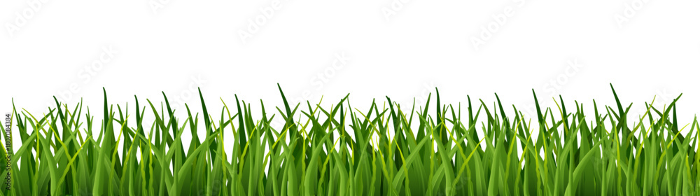 Fototapeta premium Realistic green long grass tufts isolated on white background. Fresh spring lawn bushes for summer meadow, nature border design and landscape illustration