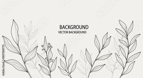 vector illustration of wheat ears