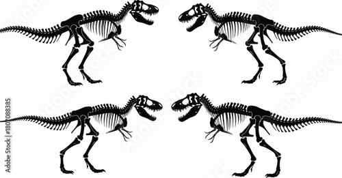 Detailed black vector silhouettes of Tyrannosaurus Rex skeletons facing left and right isolated on white background for prehistoric dinosaur history.