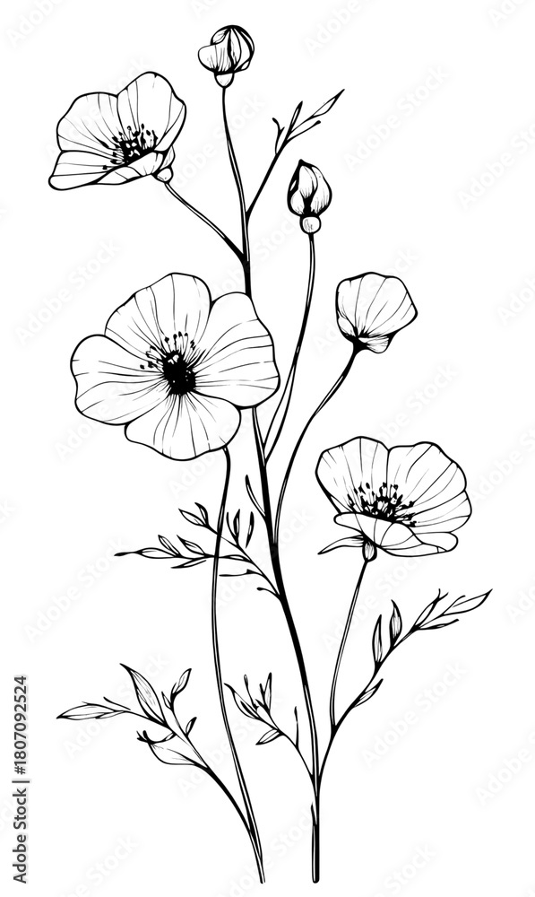 Fototapeta premium PNG Art illustration minimalist drawing.