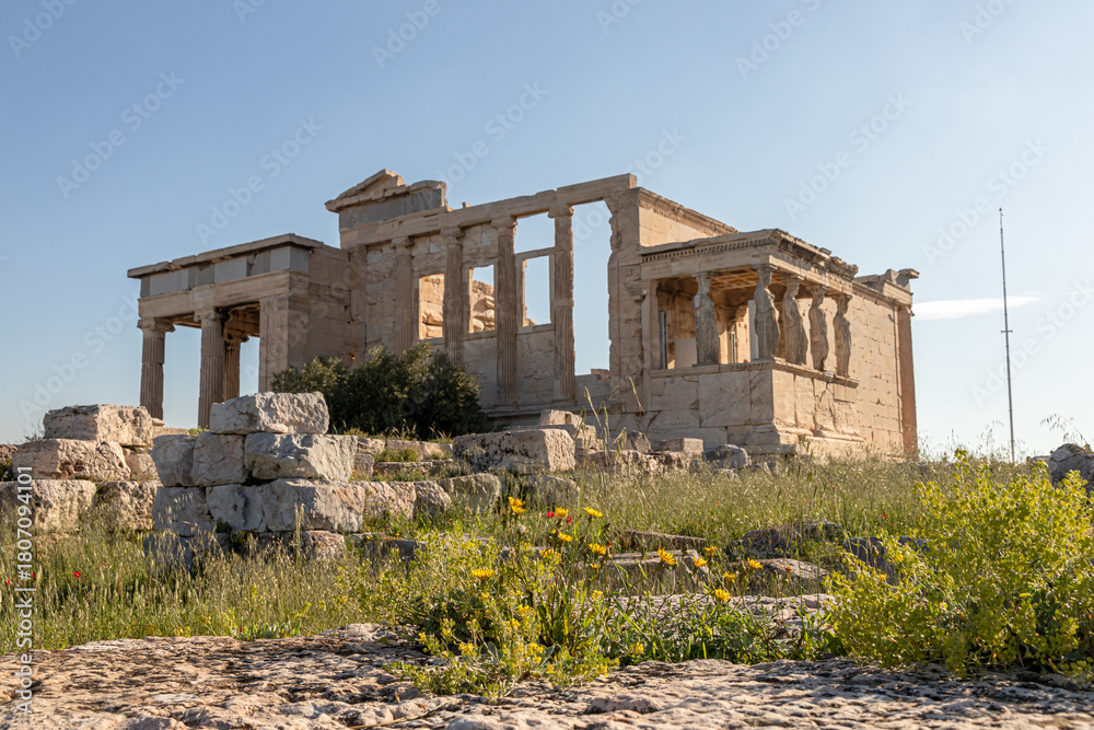 Obraz premium Athens, Greece. Yellow wildflowers in sharp focus on the Acropolis foreground with the blurred Caryatid Porch of the Erechtheion behind, highlighting the site's landscape and Ionic architecture
