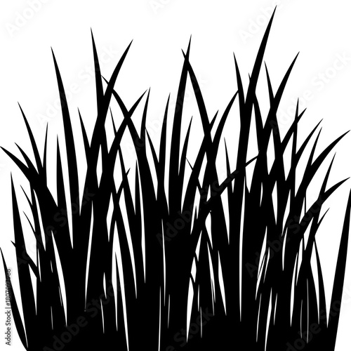 grass silhouette vector