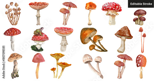 Set of 18 watercolor mushroom illustrations. Hand-drawn fungi, toadstool, and autumn nature vector set. (Editable Stroke)"