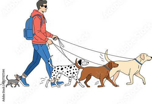 Man walking multiple dogs on leashes, including different breeds, illustrating pet care, outdoor activity, dog walking service and friendly animal companionship.