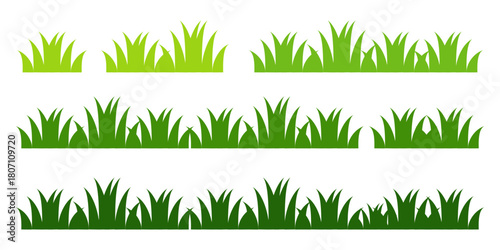 Green grass illustration in flat style. Flower and wild grass plant design.	