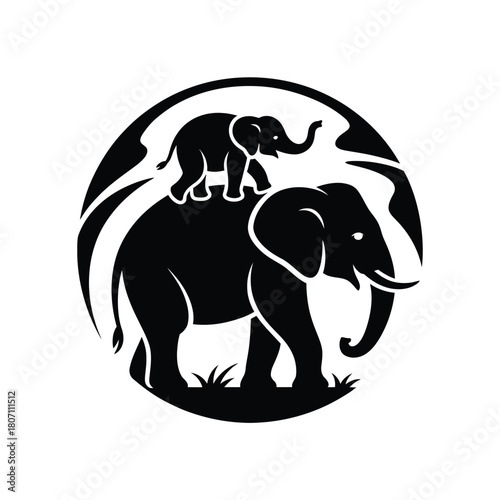 Silhouette of a mother elephant with a baby elephant on her back