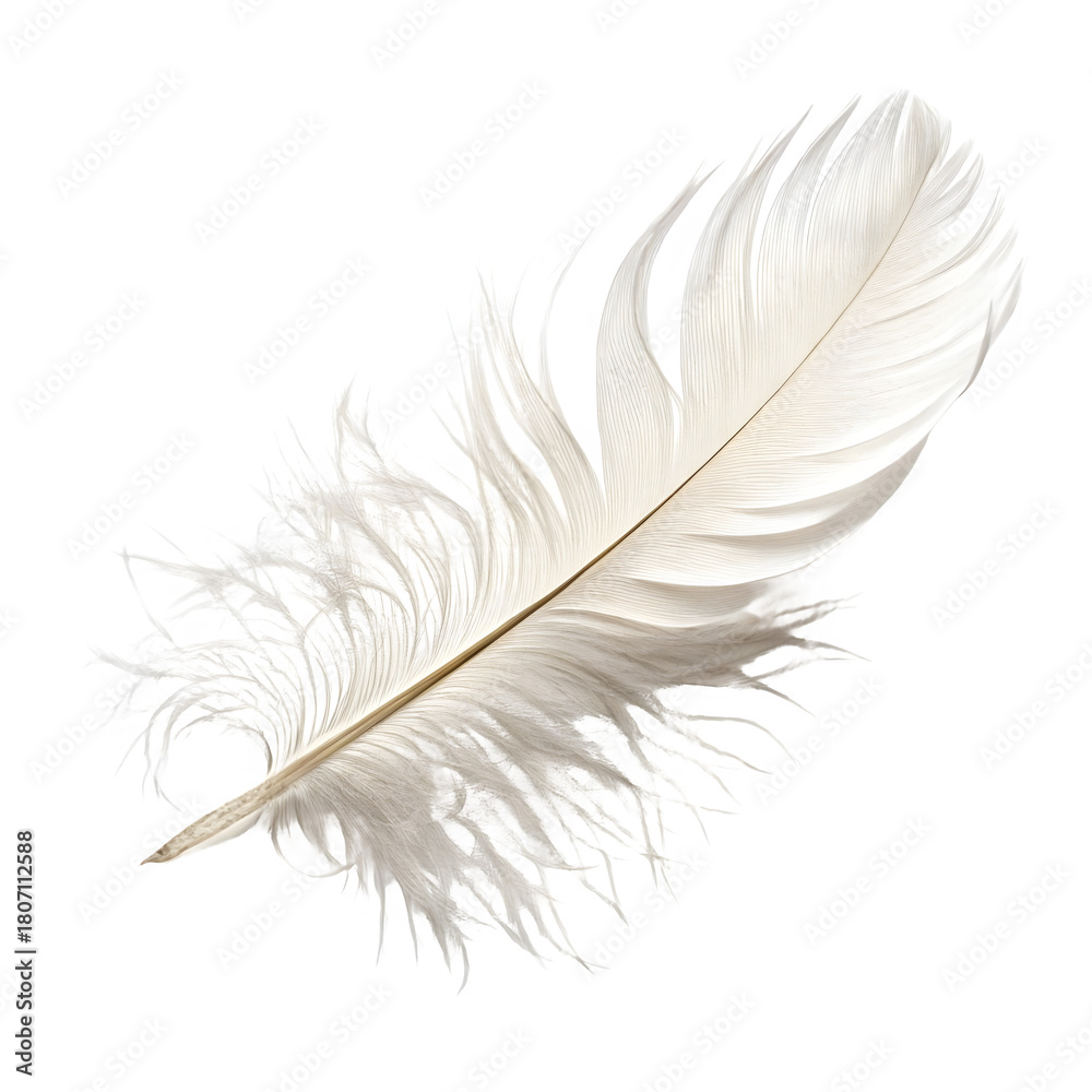 Fototapeta premium White feather isolated on transparent background with delicate and soft texture