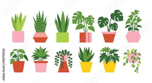Collection of various popular indoor houseplants in colorful and stylish pots, perfect for modern home interior decor illustrations.