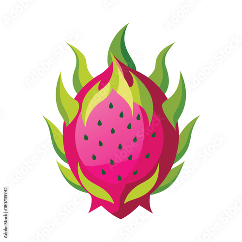 dragon fruit Art vector