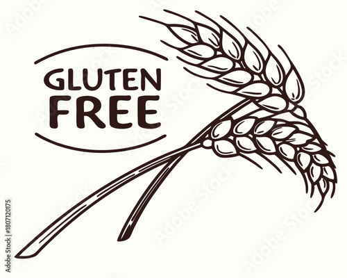 Gluten free wheat illustration in hand drawn style with transparent background for design use