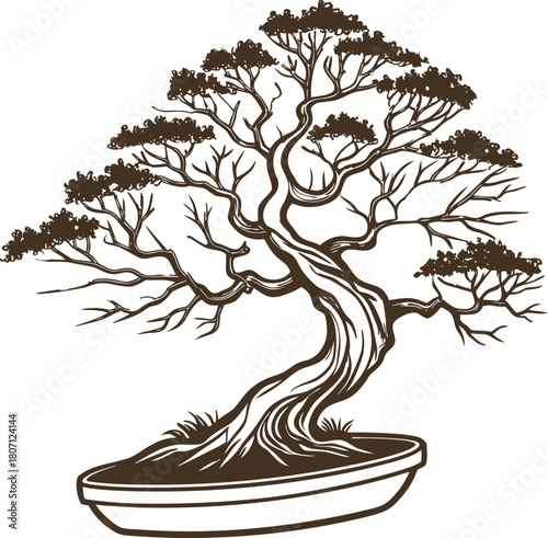 black vector illustration of a bonsai tree