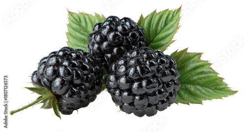 Three dark blackberries clustered together, with vibrant green leaves